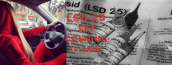 крисы Медвежьегорск