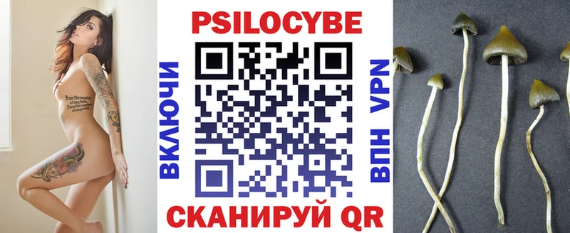 Галлюциногенные грибы Psilocybine cubensis  Купить закладки  Югорск 